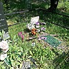 Карпинский Сергей Александрович