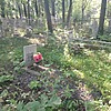 Иванова Светлана Павловна
