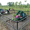 Черных Александр Николаевич