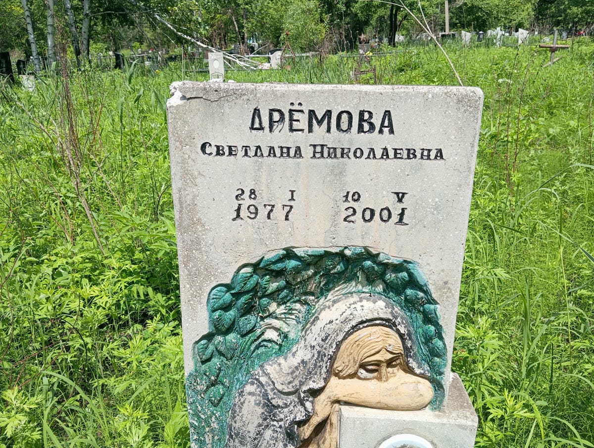 a0cab347-73f7-439e-9223-e55b67e45800 Дремова Светлана Николаевна
