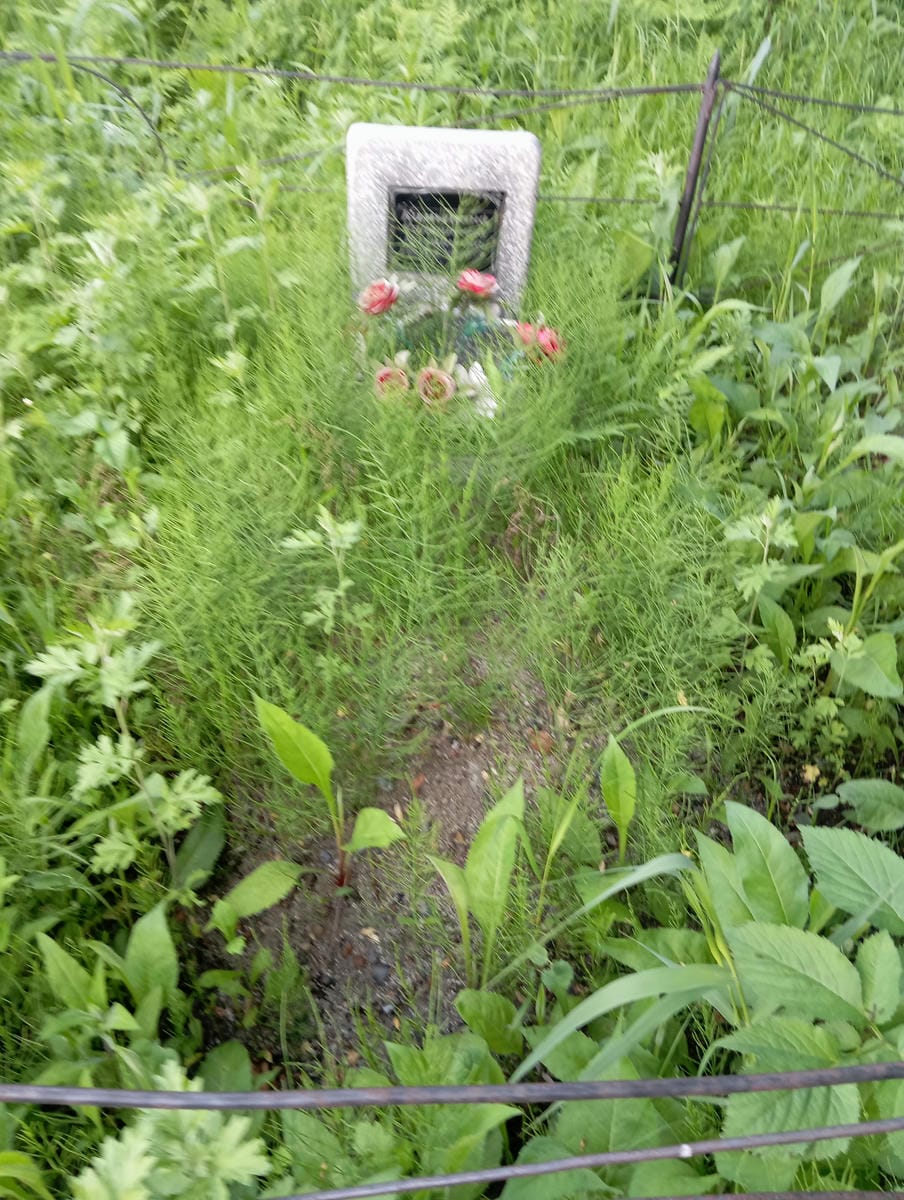 Камынина Валентина Ильинична