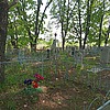 Бевз Иван Алексеевич