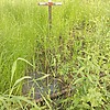 a0fc1f9d-6d11-44ef-8ac0-cb35e0a9b352 Неизвестно Неизвестно Неизвестно