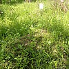 a1027a10-5f37-473b-bd19-72c87992dd4d Неизвестно Неизвестно Неизвестно