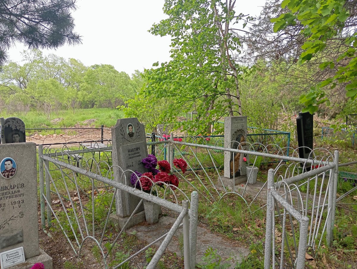 Настич Владимир Андреевич