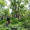 Рахманов Дмитрий Александрович