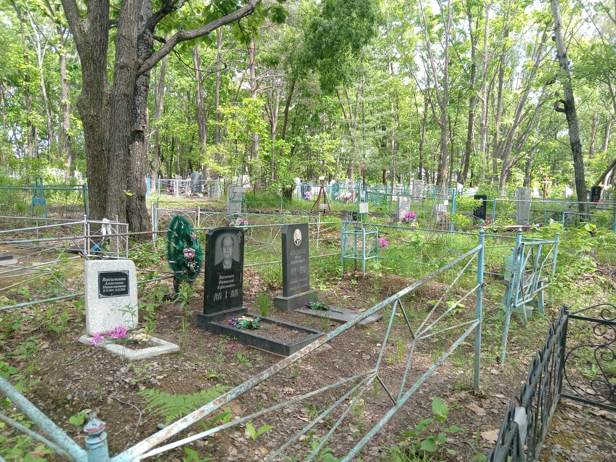 a2866d15-4dc1-4c09-849d-726b0a287205 Васильев Виталий Ефимович