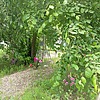 Кобик Александр Иванович
