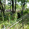 Тюкина Екатерина Константиновна