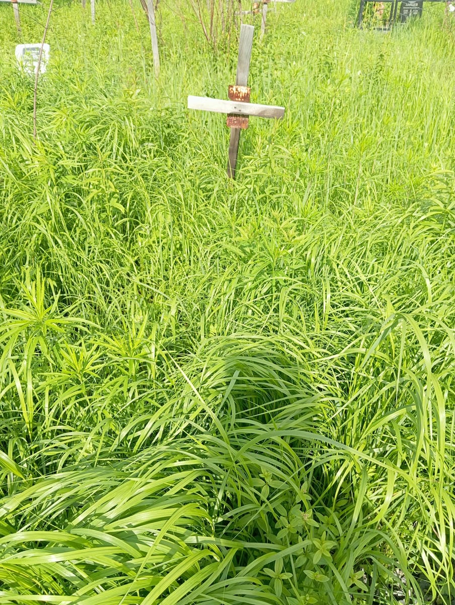 Неизвестно Неизвестно Неизвестно