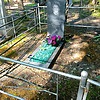 Погребечный Виталий Алексеевич