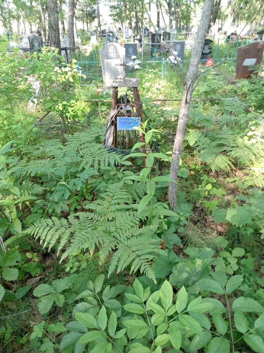 a3e978e7-4340-485d-b64d-97e9e560b8b8 Бабочкина Л Д