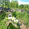 Сиволап Дмитрий Васильевич