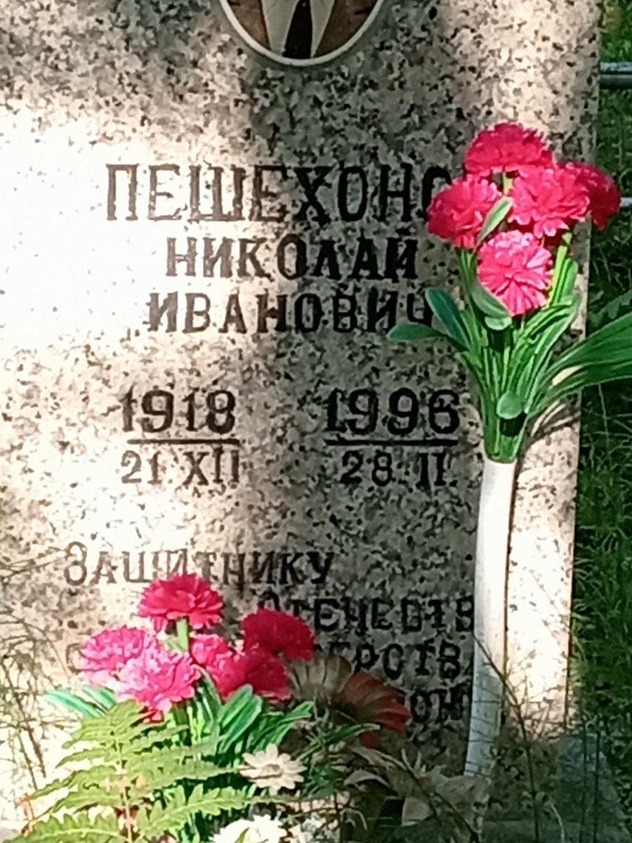a4d66970-40a7-4bb5-8056-4e6d01f63b88 Пешехонов Николай Иванович