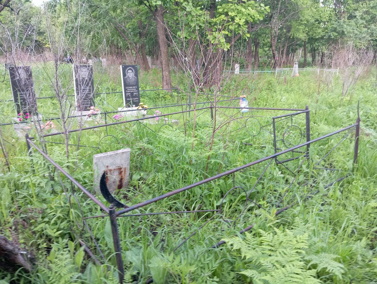 a50a34f0-1bfe-4295-8ee3-72147d06aeed Неизвестно Неизвестно Неизвестно