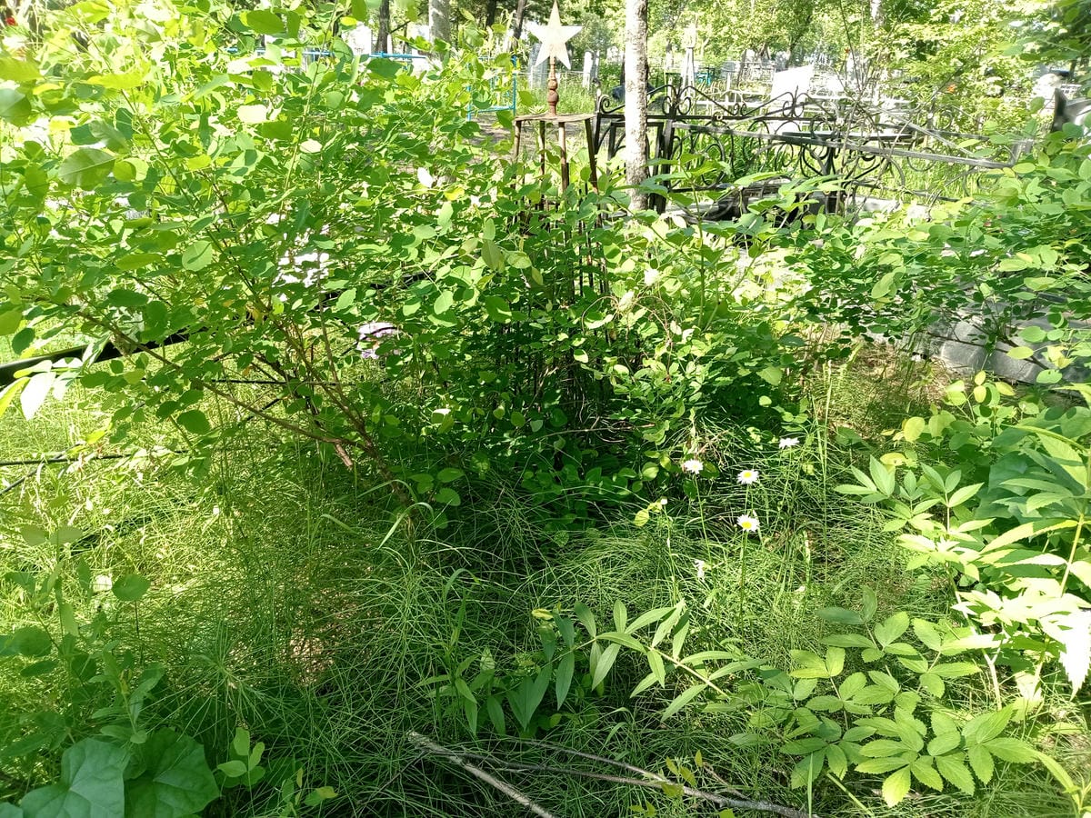 Доров Иван Седорович