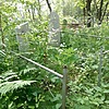 Кондрачук Анатолий Федорович