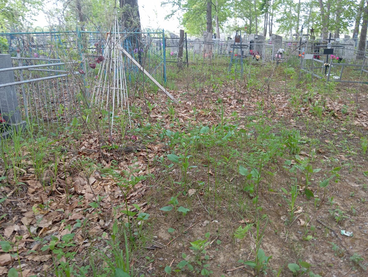 a5f6f761-a640-4aac-8cf4-3f71711aa29d Неизвестно Неизвестно Неизвестно