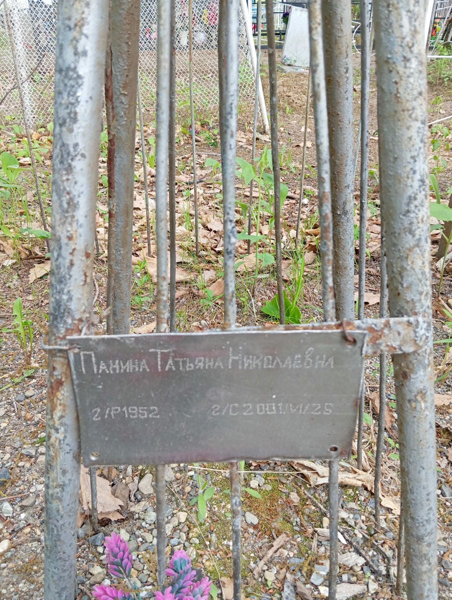 a61db2e8-f01f-4ab8-b873-e1d954c0b613 Панина Татьяна Николаевна