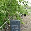 Чекушин Николай Андреевич