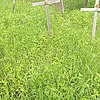 a689e3d7-9b96-46b0-b41f-30f644258d0b Неизвестно Неизвестно Неизвестно