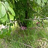 Кобик Александр Иванович