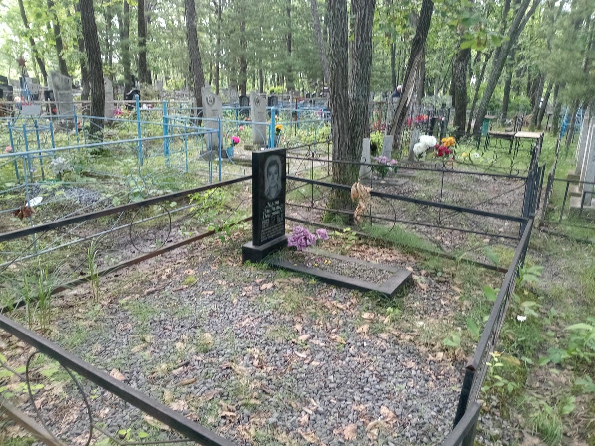 a8b92e76-52c8-42b7-bc92-cc215f33e3ec Ломов Владимир Петрович
