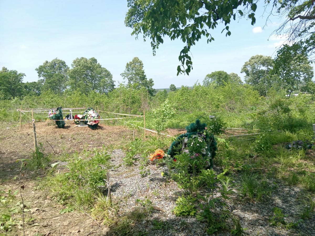 a969b45f-1ca6-4c7d-9eda-df8d4c98fa38 Жаброва Светлана Николаевна