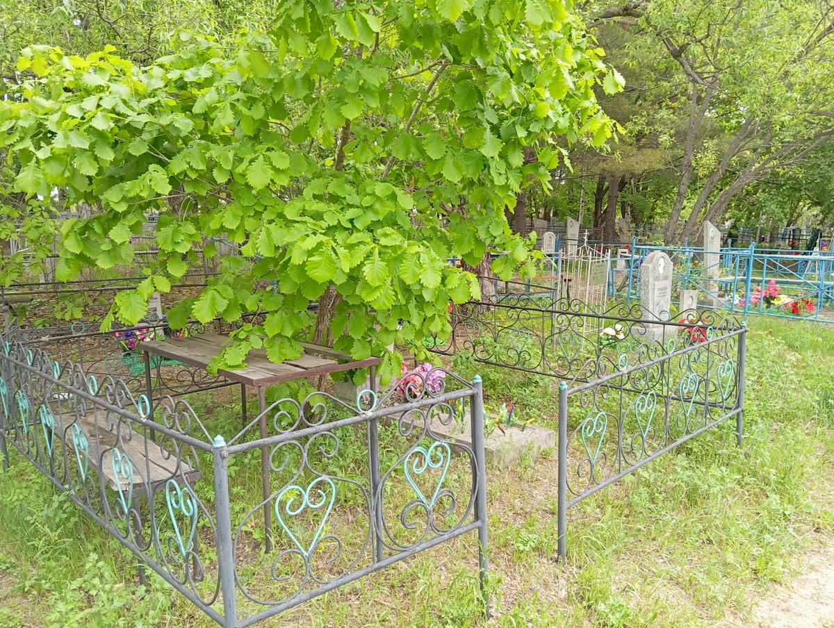 a9dbc1db-3704-4fe9-aaa2-3f46a1a75a49 Чилимов Иннокентий Иннокентьевич