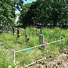 Карлов Илья Андреевич