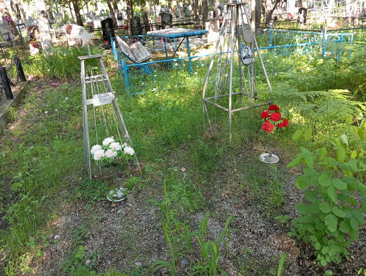 Сытая Евгения Николаевна