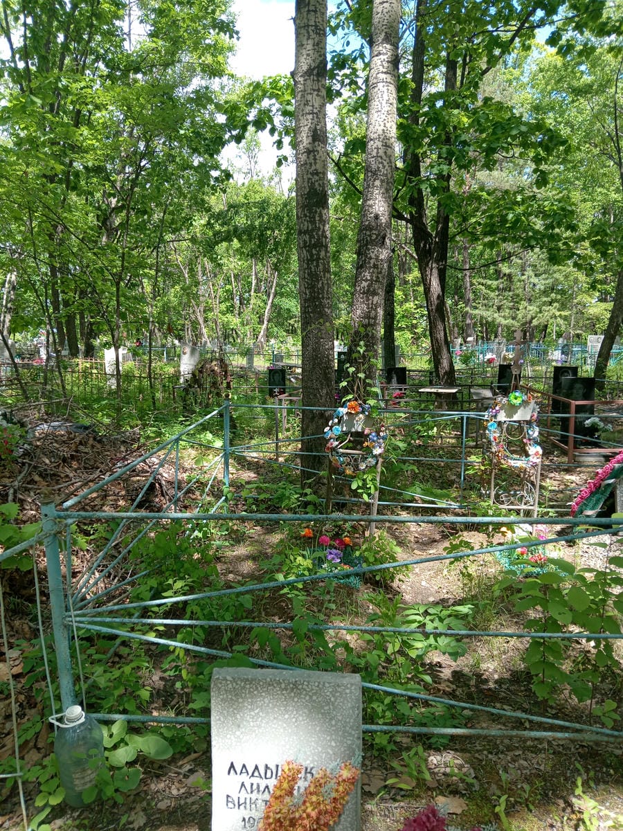 Ладынская Лилианна Викторовна