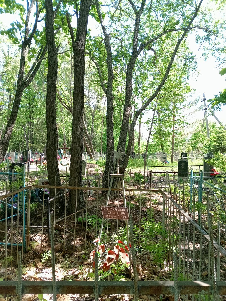 ab44bc0c-294d-4ee4-84ef-4ac5f34a5f1f Сноко Евдокия Фёдоровна