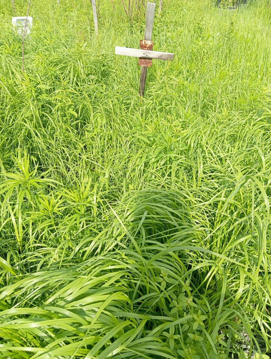 Неизвестно Неизвестно Неизвестно