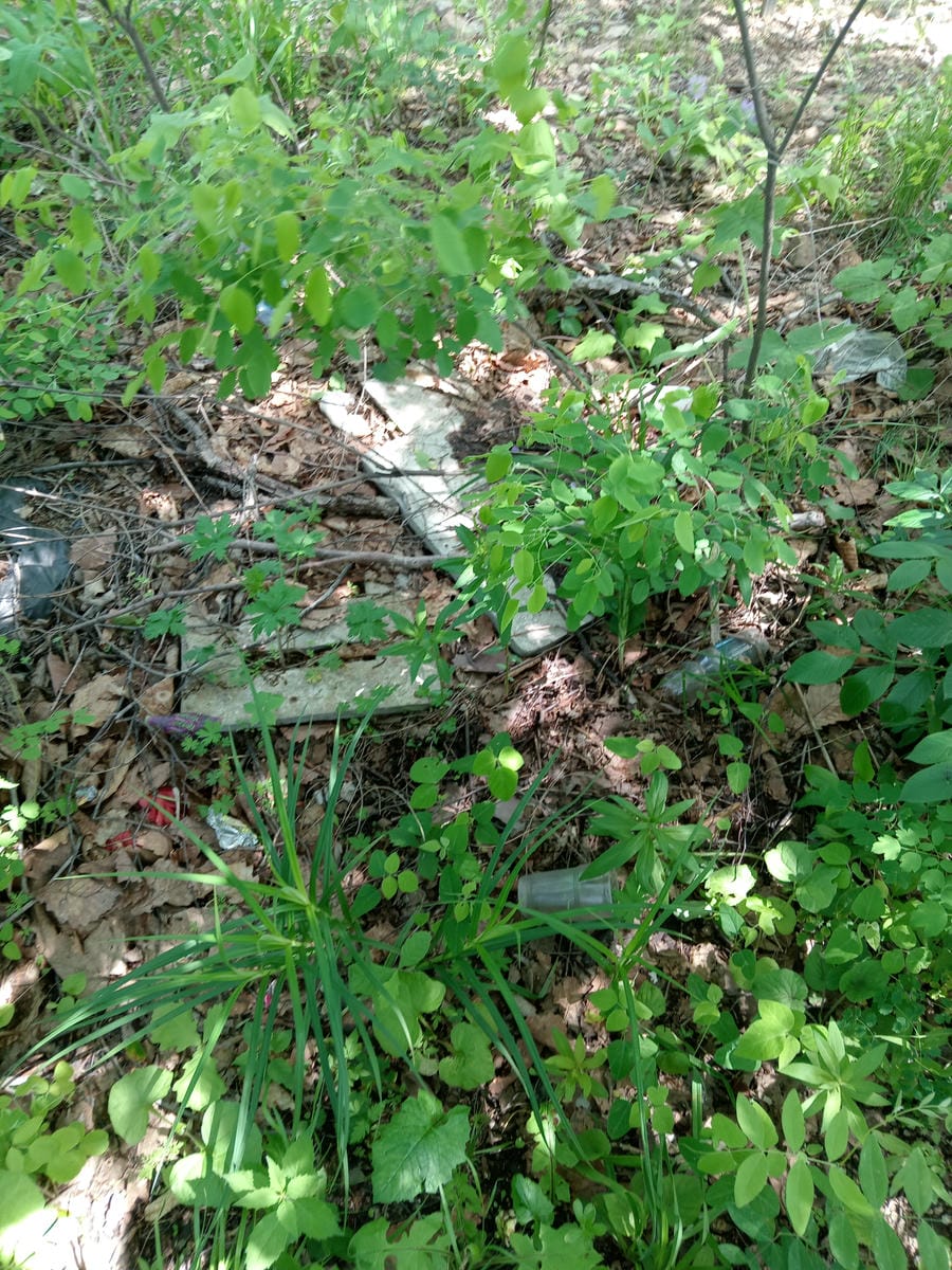 Неизвестно Неизвестно Неизвестно