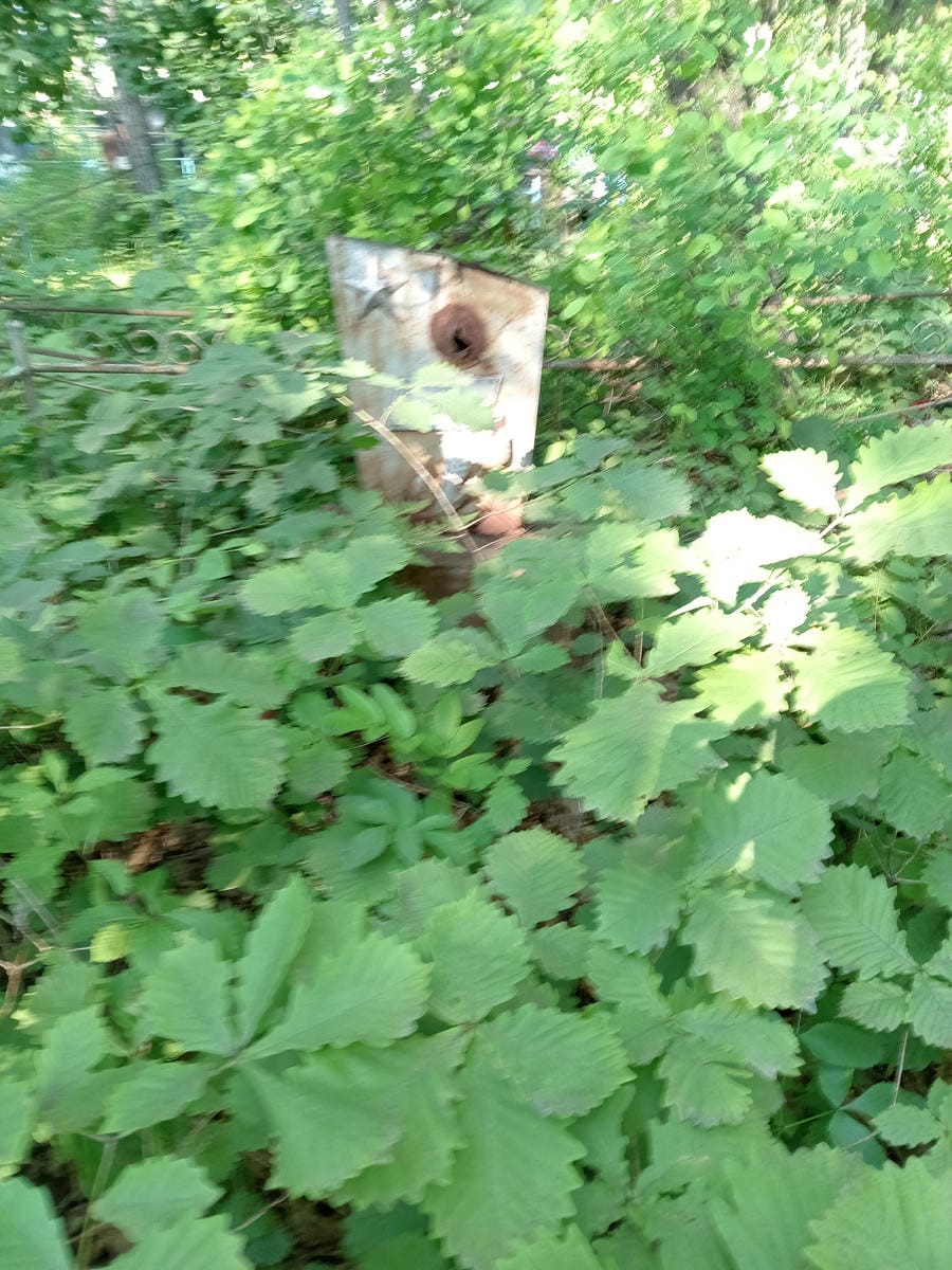 Кустовит Игнат Яковлевич