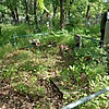 Белов Андрей Александрович