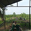 Дудина Тамара Викторовна