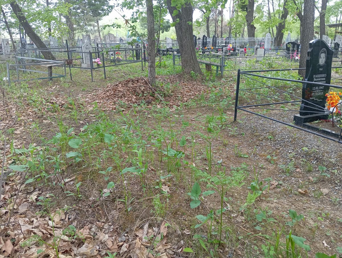 adae4226-e31f-420e-a2e2-6f17f5eaf850 Неизвестно Неизвестно Неизвестно