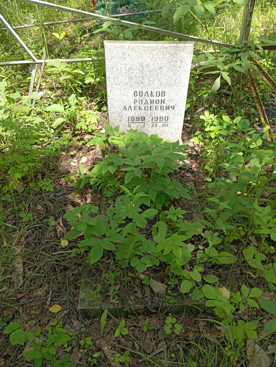 Волков Родион Алексеевич