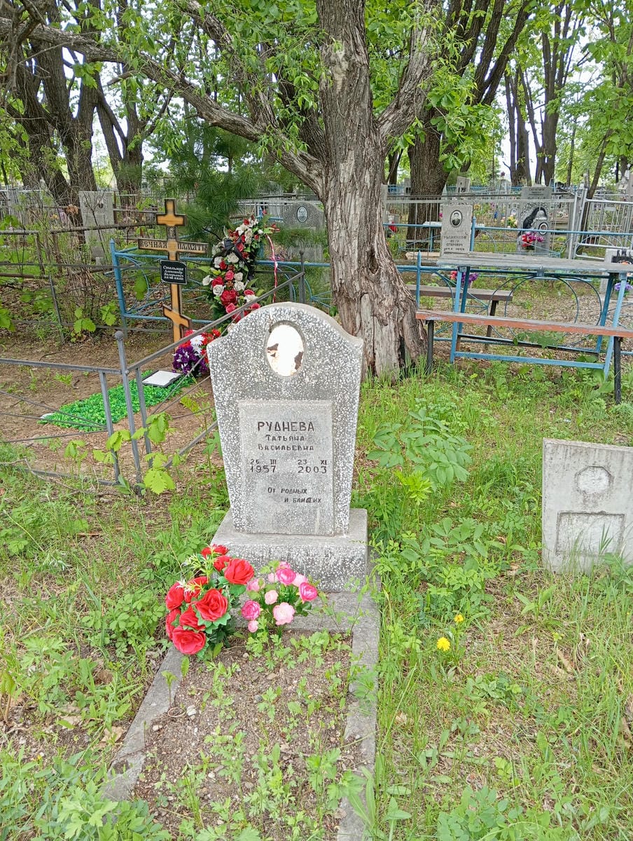 adbe4cff-03e1-44c2-8348-1c7841221617 Руднева Татьяна Васильевна