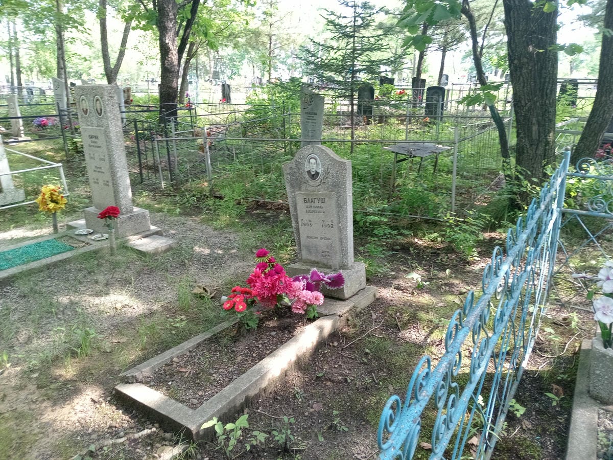 ae6a7ebb-a8c9-472a-ba0f-a48e24893832 Благуш Антонина Андреевна