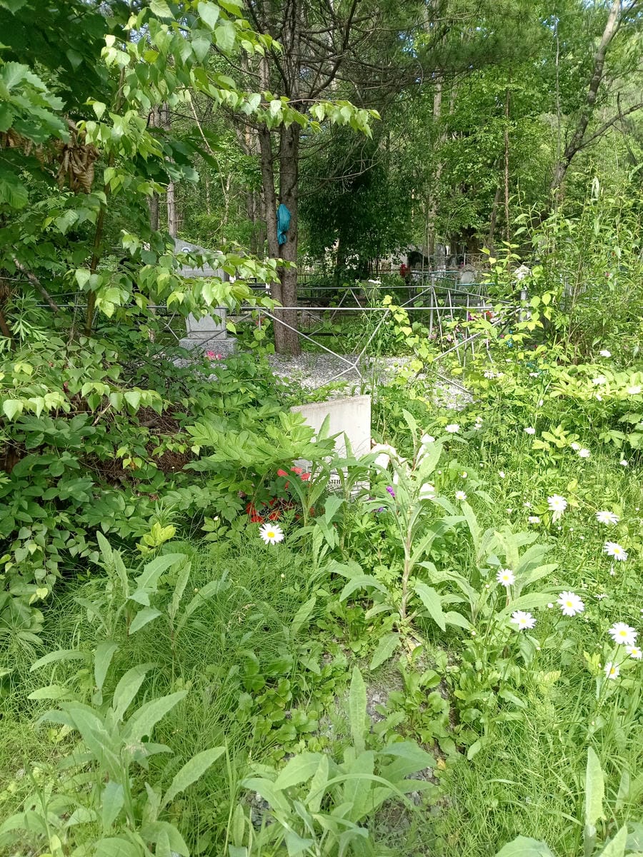 aefe4fff-74d4-4227-807f-38795aca2167 Копытина Екатерина Владимировна