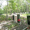 Гулак Анна Ивановна