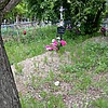 Новикова Анна Александровна