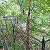 Колесникова Ольга Геннадьевна