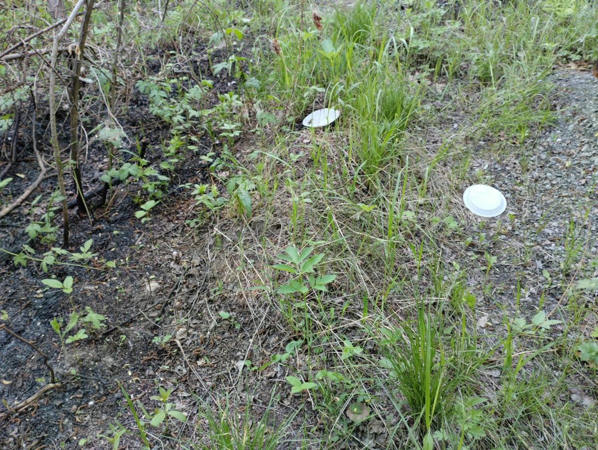 Неизвестно Неизвестно Неизвестно