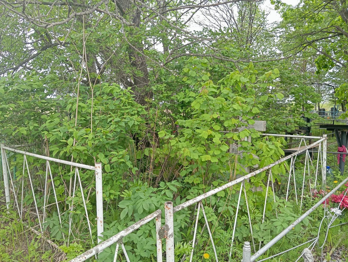 Перепелица Варвара Осиповна