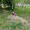 Новикова Анна Александровна