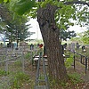 b03c3b62-8321-4c21-9727-cc0cf5de6a9a Титов Александр Иванович